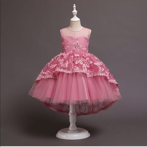 Princess Birthday Party Formal Embroidered Lace Dress